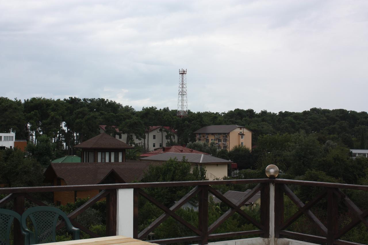 بيزوندا Viktoria Hotel المظهر الخارجي الصورة