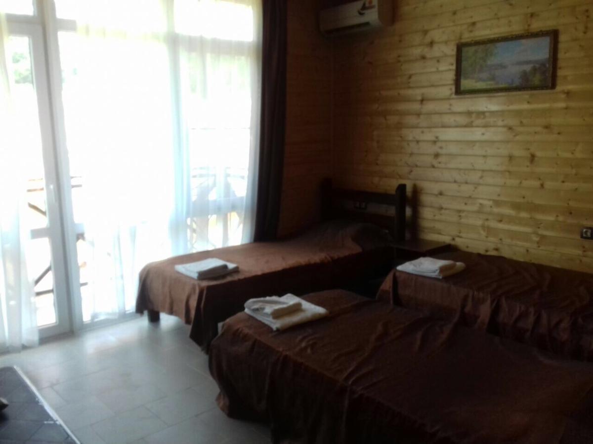 بيزوندا Viktoria Hotel المظهر الخارجي الصورة